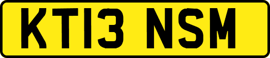 KT13NSM