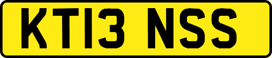 KT13NSS