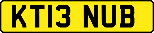 KT13NUB