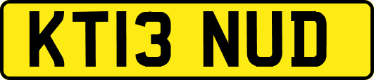 KT13NUD