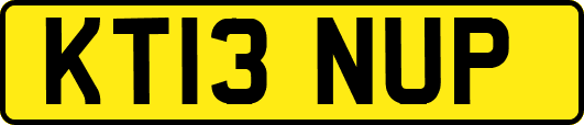 KT13NUP