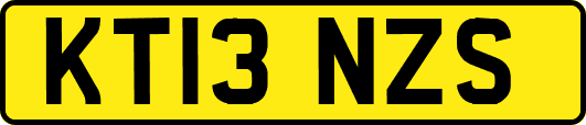 KT13NZS