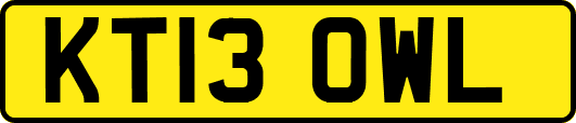 KT13OWL