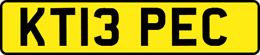KT13PEC