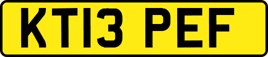 KT13PEF