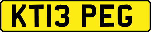 KT13PEG