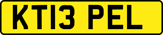 KT13PEL