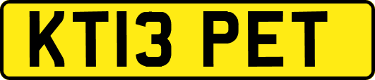 KT13PET