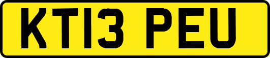 KT13PEU