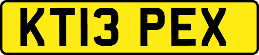 KT13PEX
