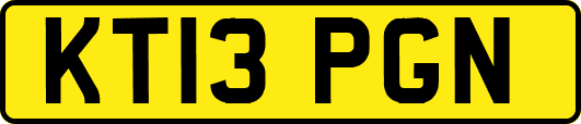 KT13PGN