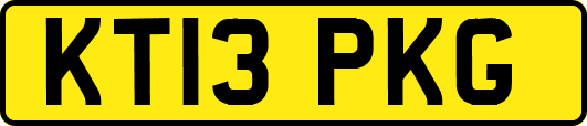 KT13PKG