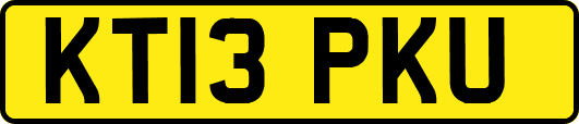 KT13PKU