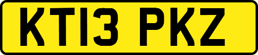 KT13PKZ