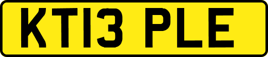 KT13PLE
