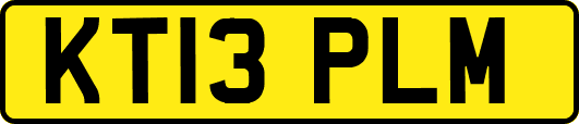 KT13PLM