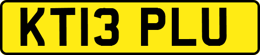 KT13PLU