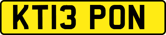 KT13PON