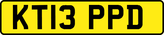 KT13PPD