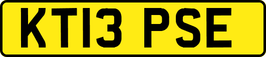 KT13PSE