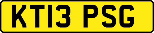 KT13PSG