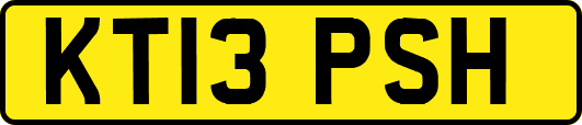 KT13PSH