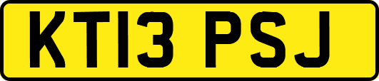 KT13PSJ