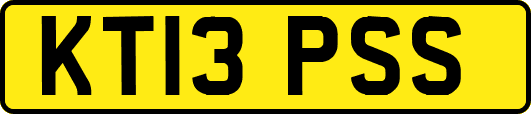 KT13PSS