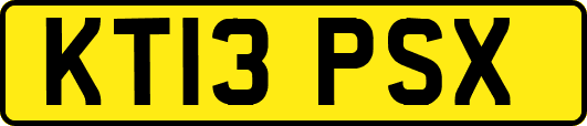 KT13PSX