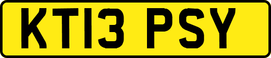 KT13PSY