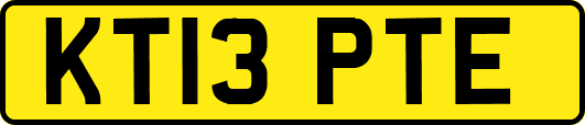 KT13PTE