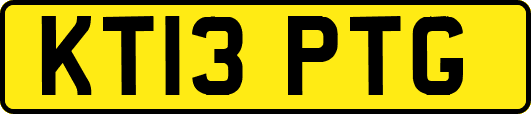KT13PTG