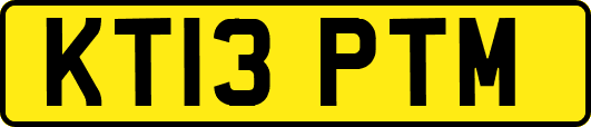 KT13PTM
