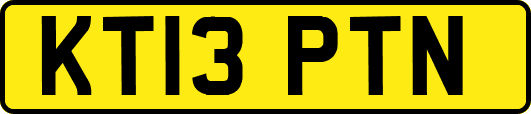KT13PTN