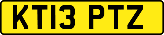 KT13PTZ