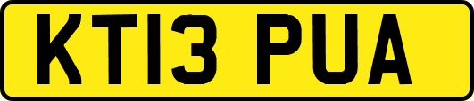 KT13PUA