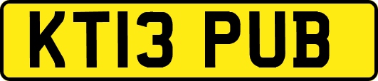 KT13PUB