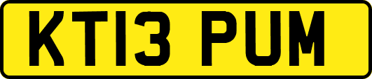 KT13PUM