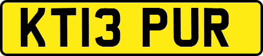 KT13PUR