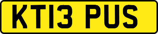 KT13PUS