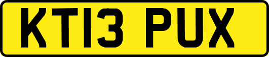 KT13PUX