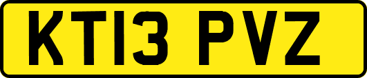 KT13PVZ