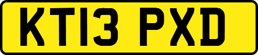 KT13PXD