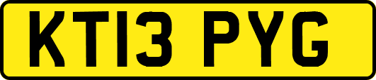 KT13PYG