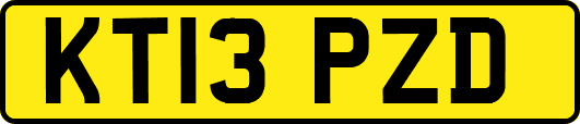 KT13PZD