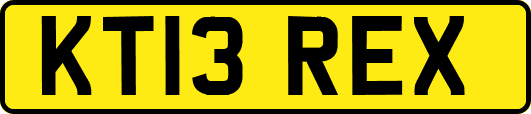 KT13REX