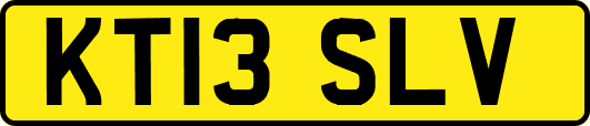 KT13SLV