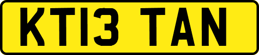 KT13TAN