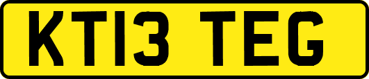 KT13TEG