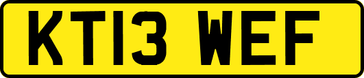 KT13WEF